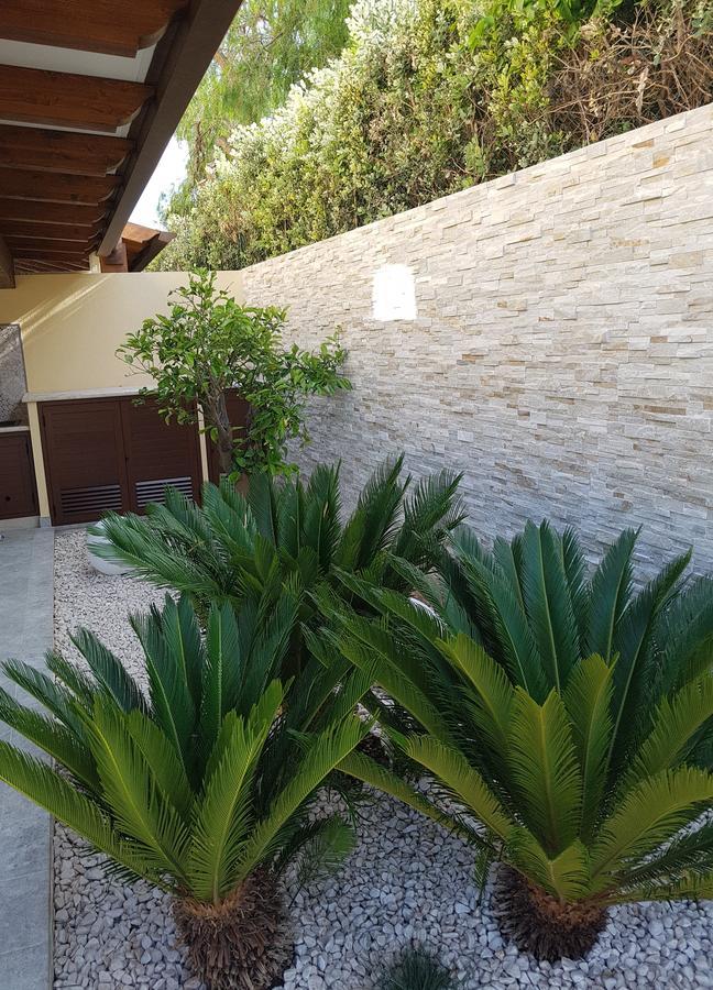 B&B Aloe Comfort Rooms San Vito Lo Capo Dış mekan fotoğraf
