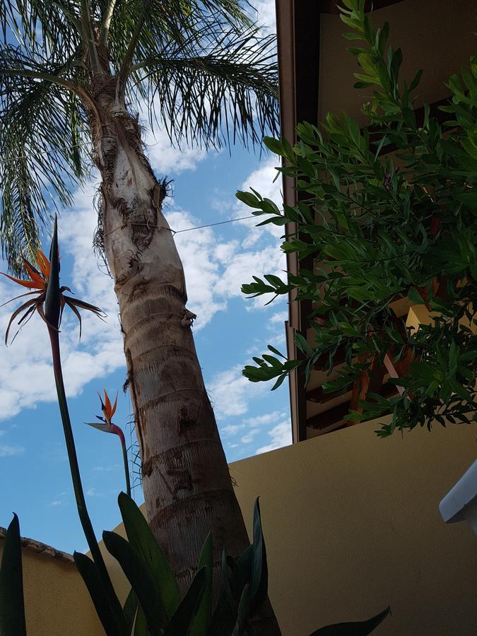 B&B Aloe Comfort Rooms San Vito Lo Capo Dış mekan fotoğraf