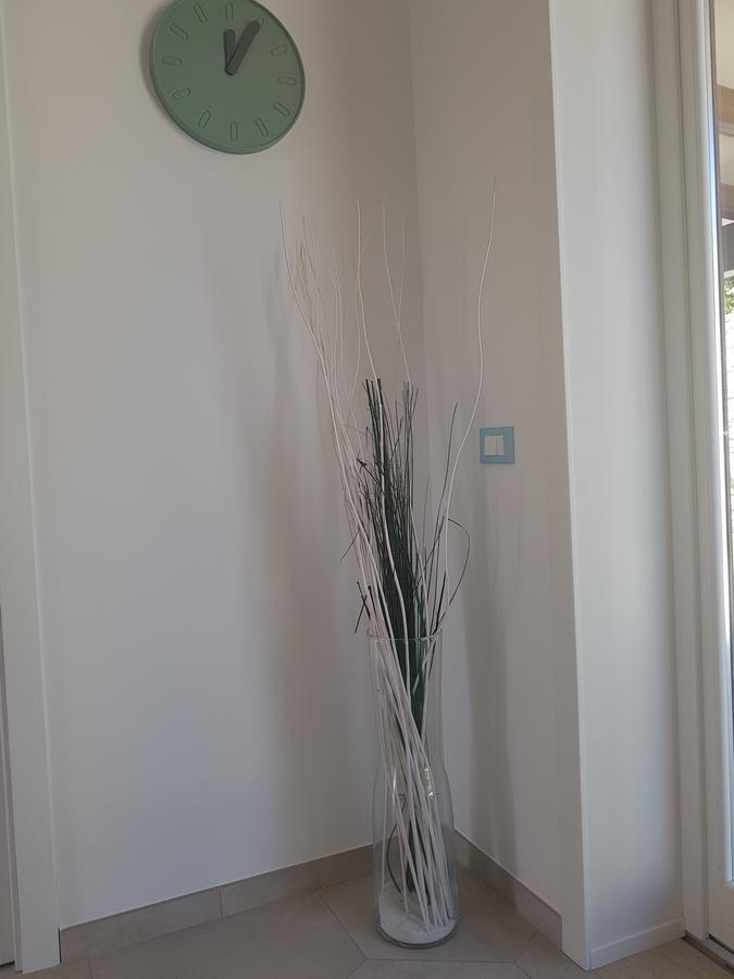 B&B Aloe Comfort Rooms San Vito Lo Capo Dış mekan fotoğraf